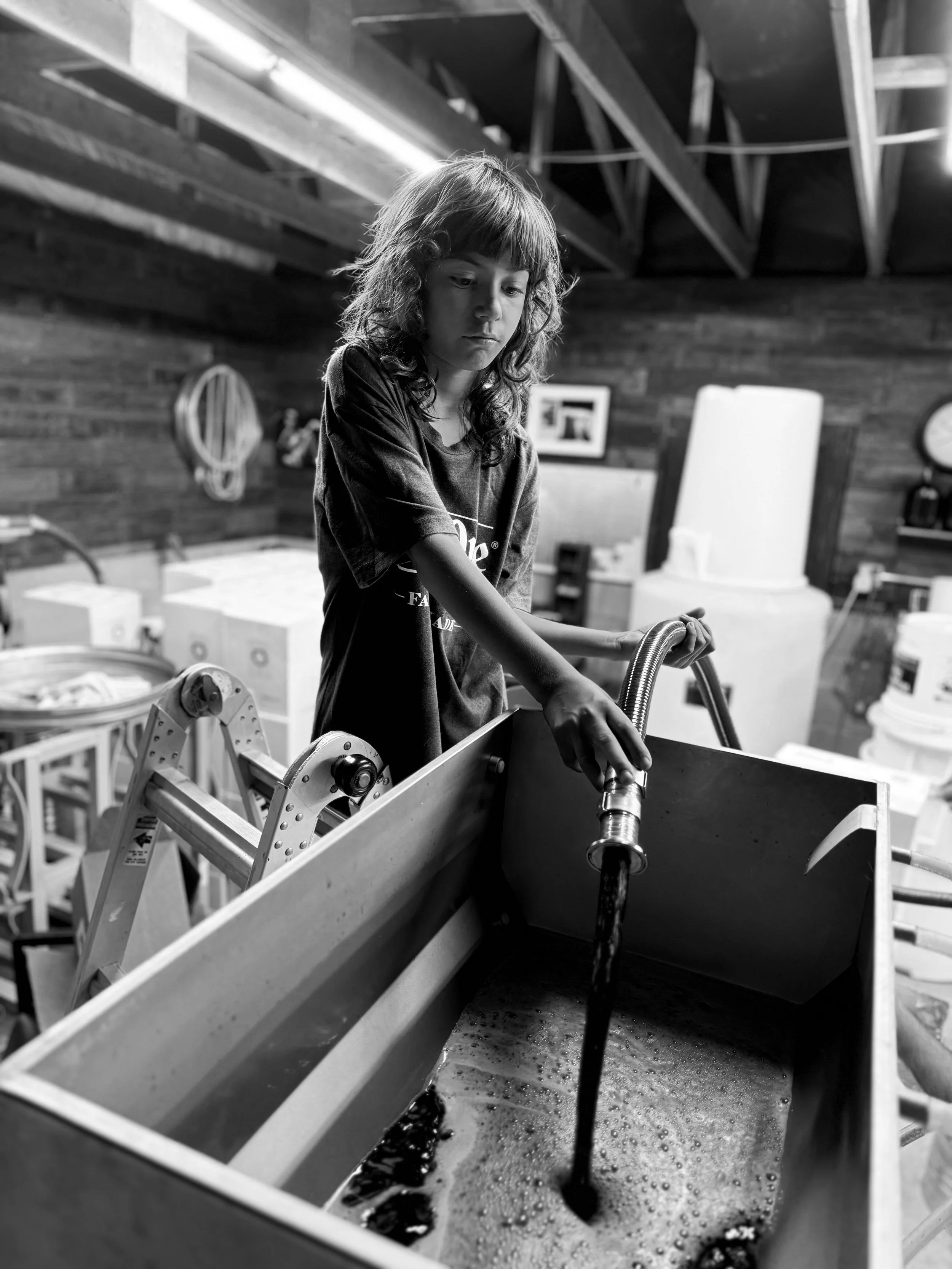 Luciano Principini working in the cellar